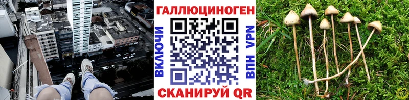 Галлюциногенные грибы прущие грибы  закладка  omg ссылка  Белогорск 